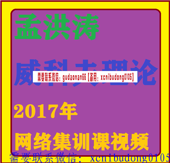 资本城孟洪涛威科夫理论2017年网络集训视频课程