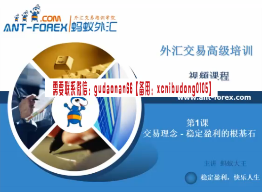 蚂蚁外汇 盈利核心交易结构市场节奏高成功率K线信号 实战培训视频课程