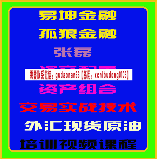易坤金融孤狼张磊资产配置资产组合交易实战技术外汇原油期货培训视频