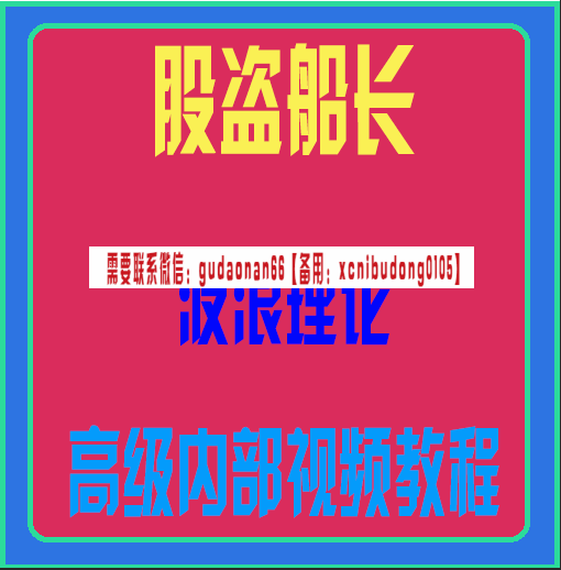股盗船长波浪理论高级内部视频课程