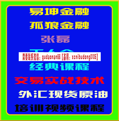 易坤金融孤狼张磊天人合一经典课程论交易实战技术外汇原油期货培训视频