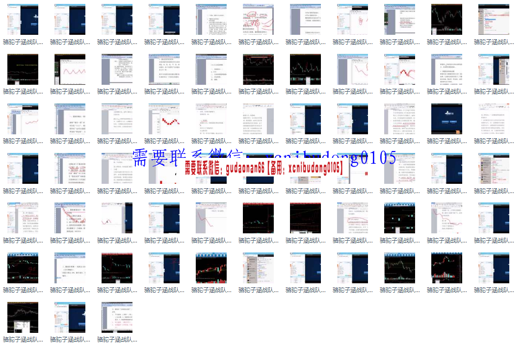 骆驼子涵战队量线精髓高清视频课程69集