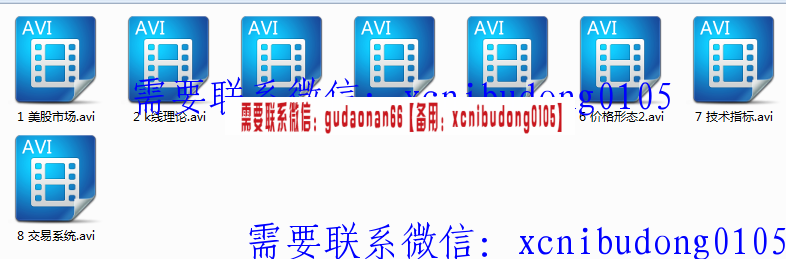 加拿大毕肯证券学院 童红学 美股直通车美股交易决策系统 内部培训视频课程