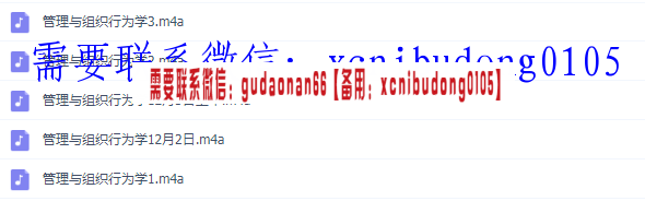 同济大学MBA录音ppt