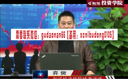 五域论湛超级强势股涨停必杀技视频课程