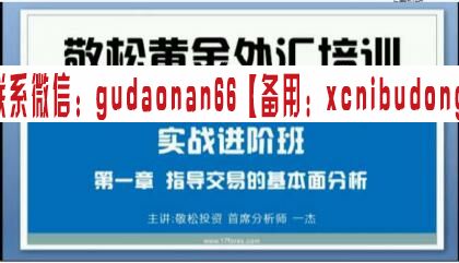 敬松投资实战进阶班黄金外汇培训