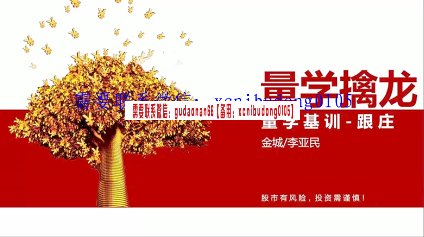 量学云讲堂金城李亚民量学擒龙融会贯通实践系列课13期原版视频