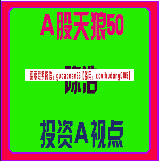 a股天狼50陈浩投资a视点培训视频课程