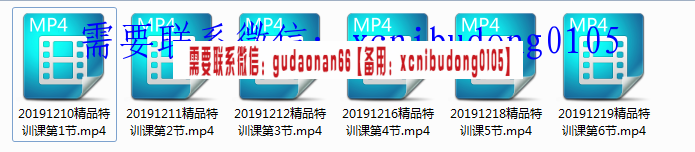 蓝筹老师2019年精品特训课六节高清系统课