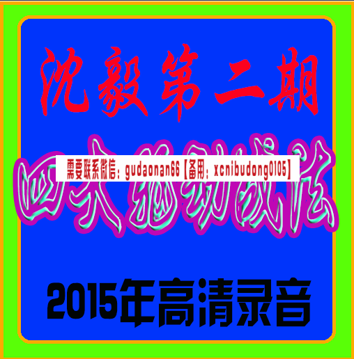 沈毅第二期四大驱动战法2015年高清录像
