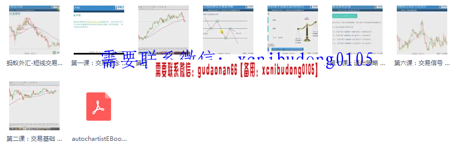 蚂蚁外汇 盈利核心交易结构市场节奏高成功率K线信号 实战培训视频课程
