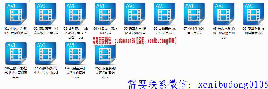 【严为民】鸿亿金融学院 严为民 逻辑买卖3期视频课程 13集