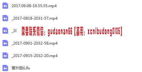 股商学院船长晋升班视频课程