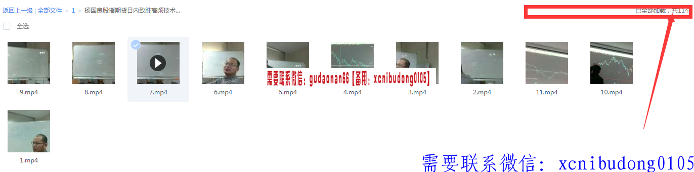 杨国良股指期货日内高清视频