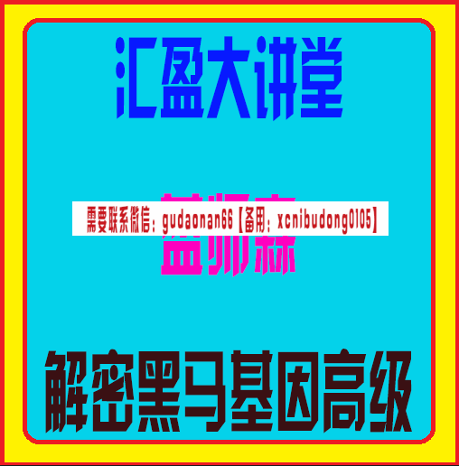 汇盈大讲堂 蓝师森 解密黑马基因高级课