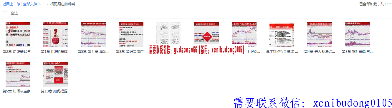 理财真功夫藏金阁杨丽跟庄特种兵视频课程