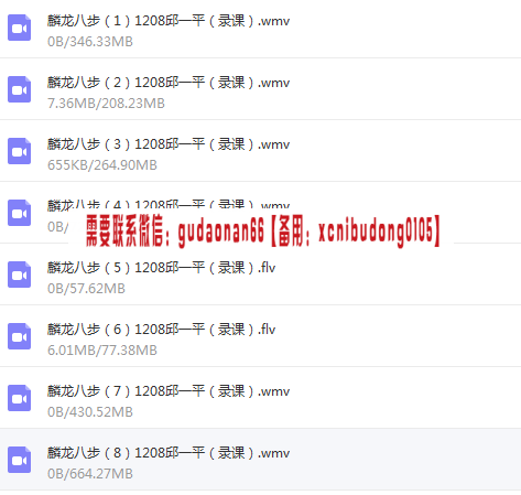 麟龙邱一平麟龙八步讲课教学视频
