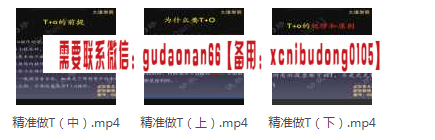 证券娱乐圈水木资本淡然的炒精准做T三节高清课