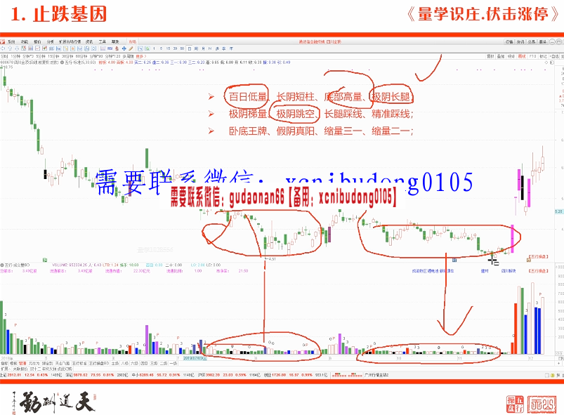 量学云讲堂刘智辉涨停基因涨停密码第13期原版视频