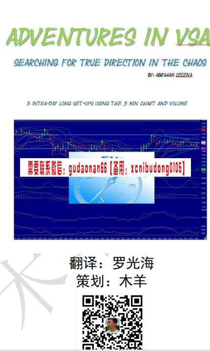 vsa冒险之旅pdf电子书