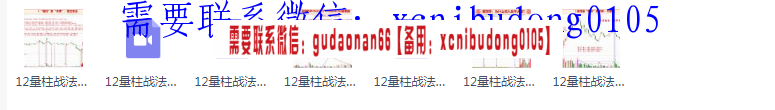 量学云讲堂仲展龙头密探白马密探三慧擒龙特战课程12期高清原版视频