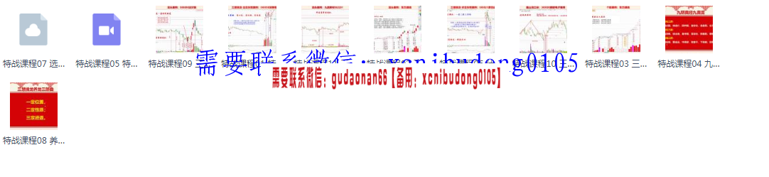 量学云讲堂仲展龙头密探白马密探三慧擒龙特战课程13期高清原版视频