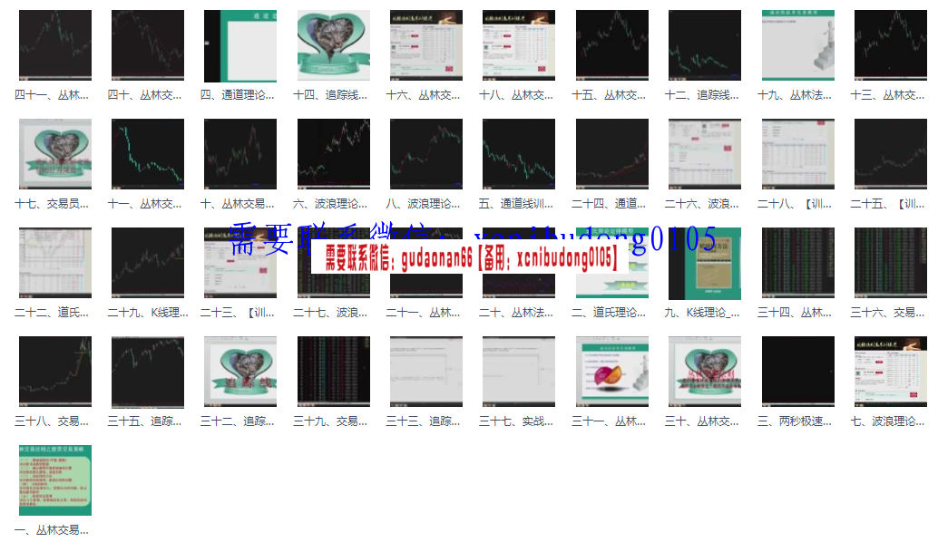 丛林相农丛林交易法则完整版四十一节