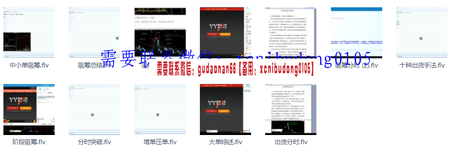 与庄共舞分时跟庄大师股票高级培训班+全视频课程12集