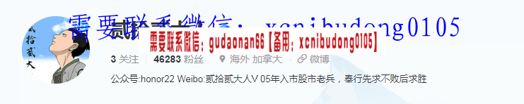 雪球贰拾贰大人择时交易体系课培训股票视频课程