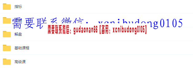 魏春阳2020-2021游资罗盘高级班+初级班+复盘