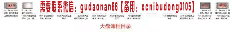 骆驼子涵量金大盘课程分时课程竞价课程量价课程量线