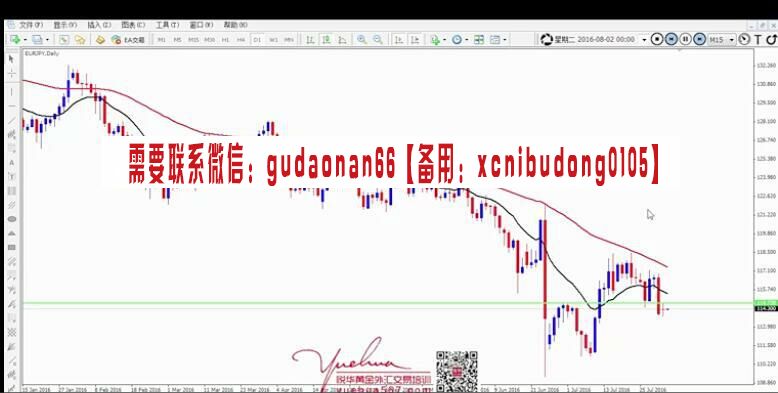 邵悦华悦华高概率交易细节养成全套外汇黄金交易视频课程
