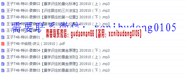 黑马王子2019年T48特训班量学跟庄系列课程录音ppt