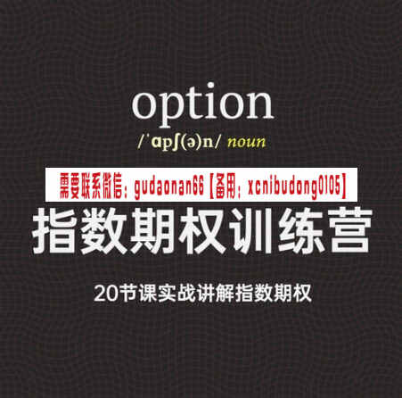 PPT金融指数期权训练营视频课程