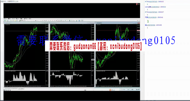 蓝莲骑士团金枝外汇黄金交易视频课程