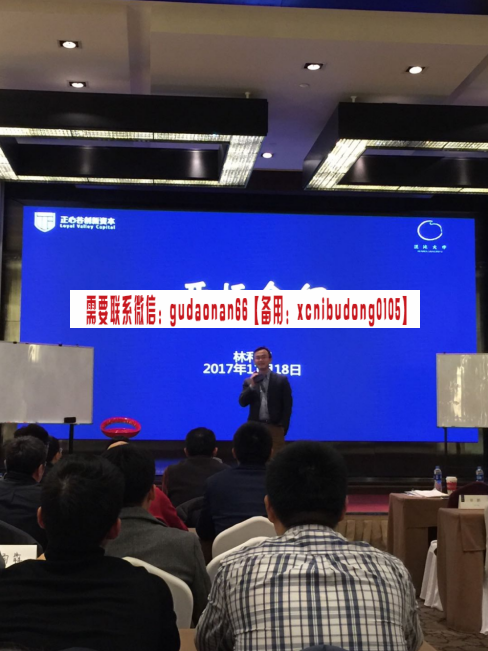 林利军 价值投资 战略与投资 录音笔记