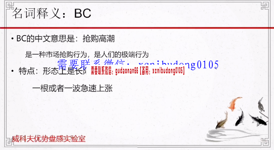 孟洪涛 团队讲师 威科夫训练营  市场行为基础 27集视频