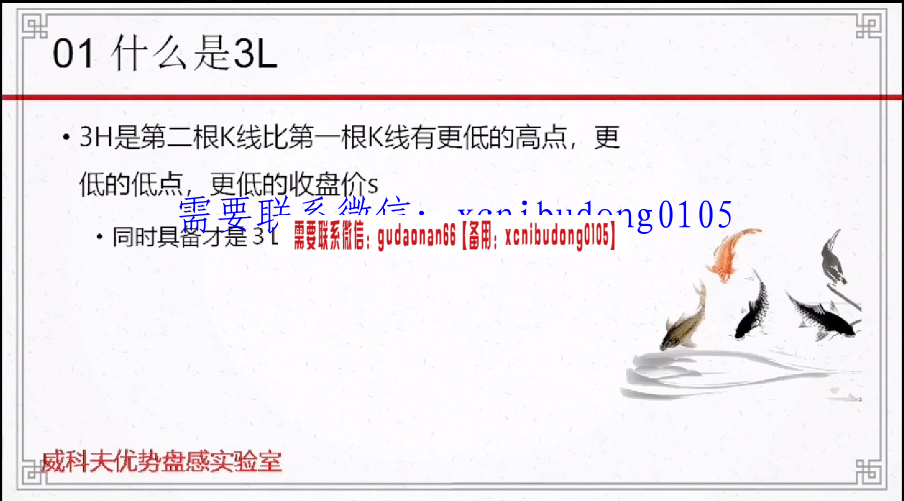 孟洪涛 团队讲师 威科夫训练营  市场行为基础 27集视频