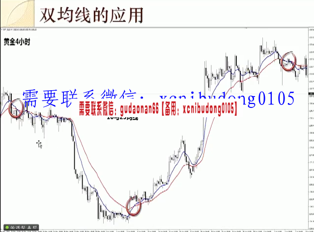侯永强 均线买卖法则 双均线 外汇交易 视频课程