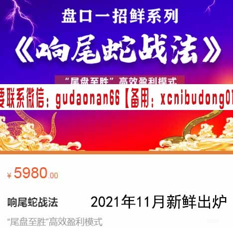 老姜盘口 2021年11月 响尾蛇战法 最新课程