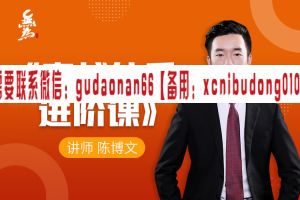 陈博文 实战体系进阶课（40节课）