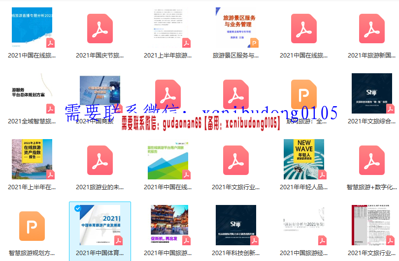 2021年旅游行业洞察大数据研究报告24份ppt