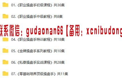 职业操盘手培养初级中级高级特训实战大集合