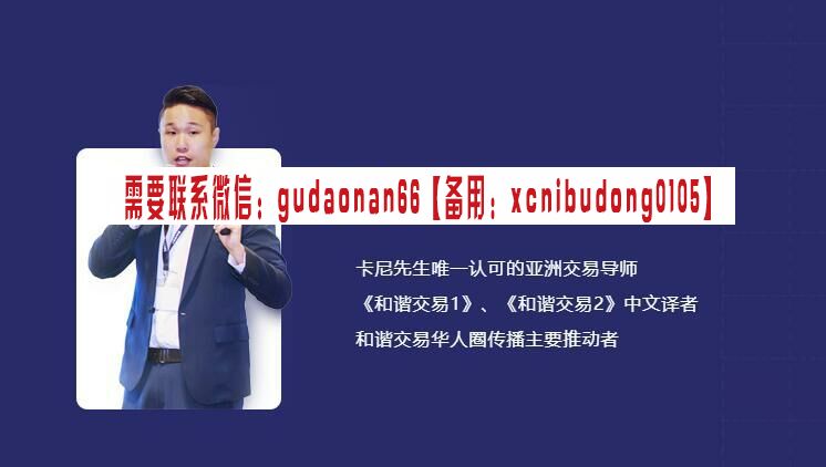 和谐商学院 和谐交易 初级 中级 高级班 外汇视频课程