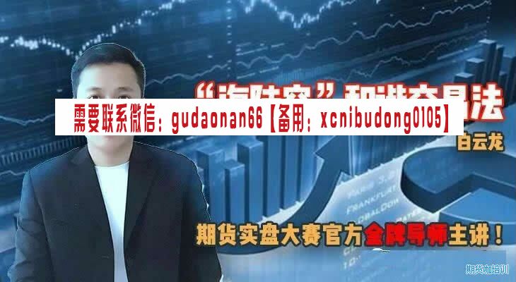 白云龙期货 白云龙海陆空和谐交易法期货培训视频教程23讲+指标