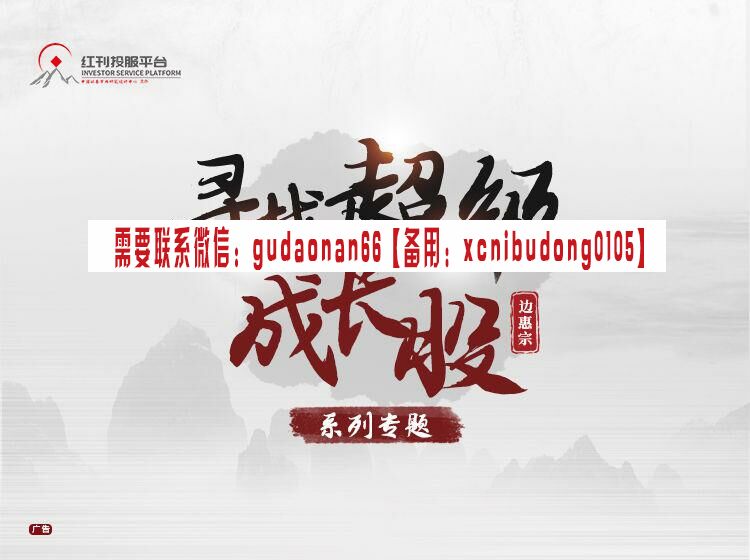 边惠宗【交流会】寻找超级成长股 视频课程