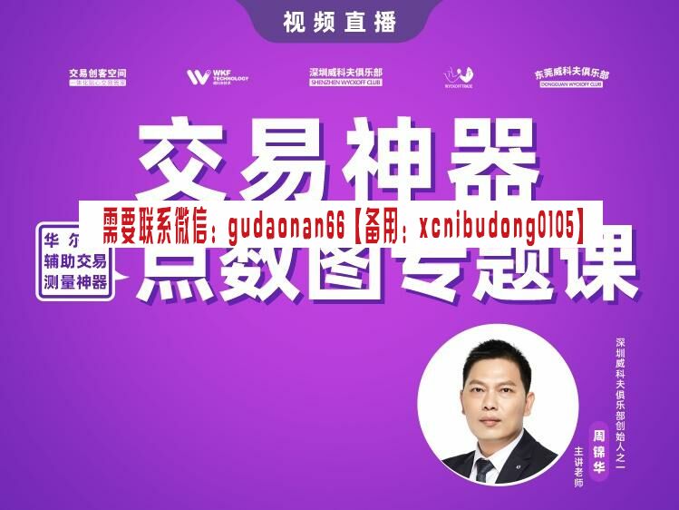 周锦华 华尔街测量神器2022年 点数图 视频课程