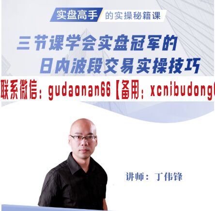 丁伟锋 三节课学会实盘冠军的日内波段交易实操技巧