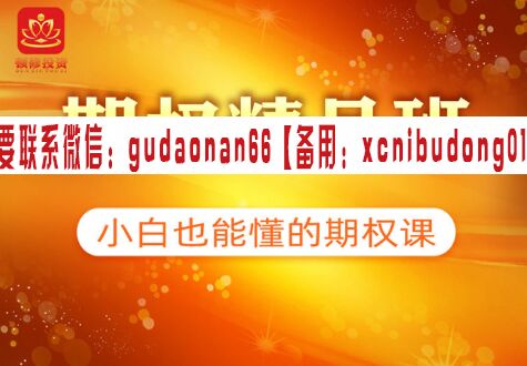周力军（顿修）期权精品班 期权课程视频