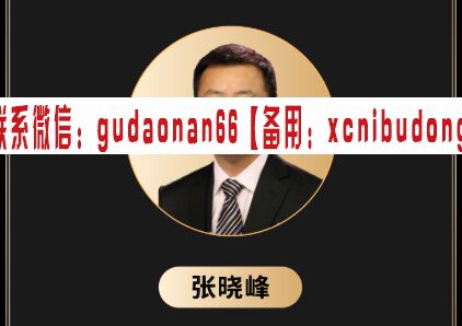 张哓峰 秒定乾坤缠论课 视频课程